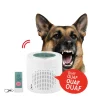 Alarme chien de garde