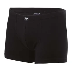 Boxers convexes - les 2