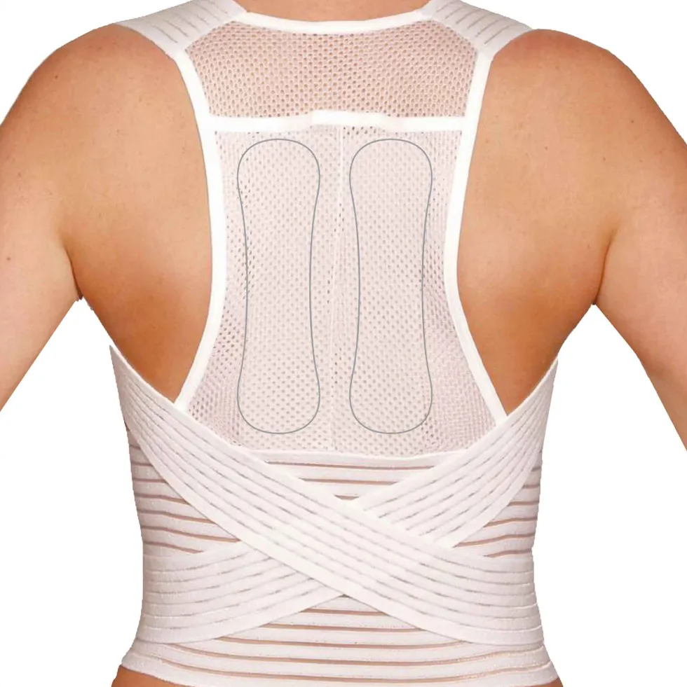 Ceinture de maintien