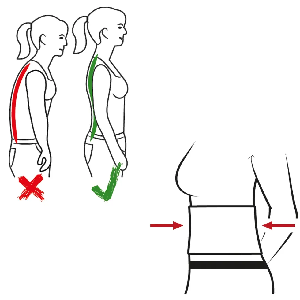 Ceinture de maintien dorsal