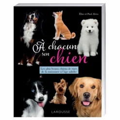 À chacun son chien