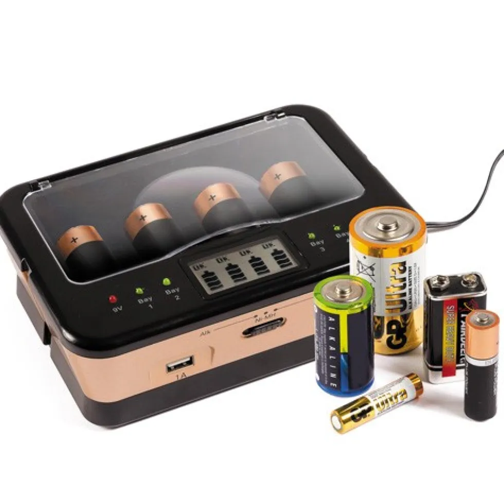 Chargeur de piles universel
