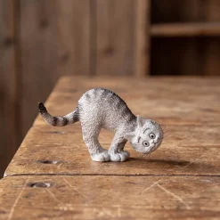 Chat 