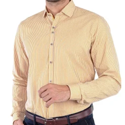 Chemise droite coton rayée col italien