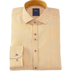 Chemise droite coton rayée col italien