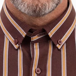 Chemise rayée Arlington