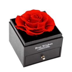 Coffret Romance éternelle