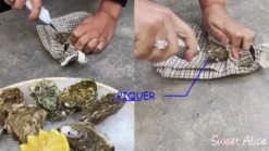 Couteau à huîtres électrique
