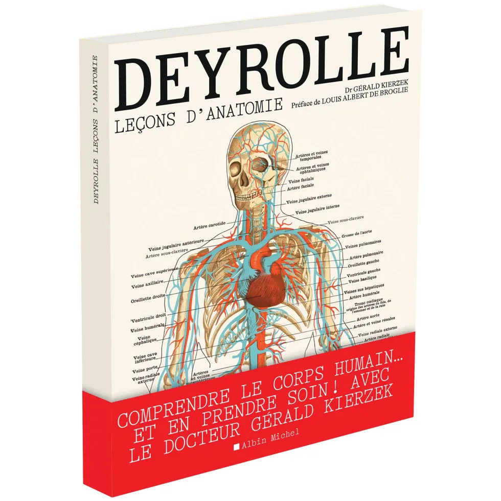 Deyrolle, leçons d’anatomie