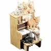La boîte à musique chats