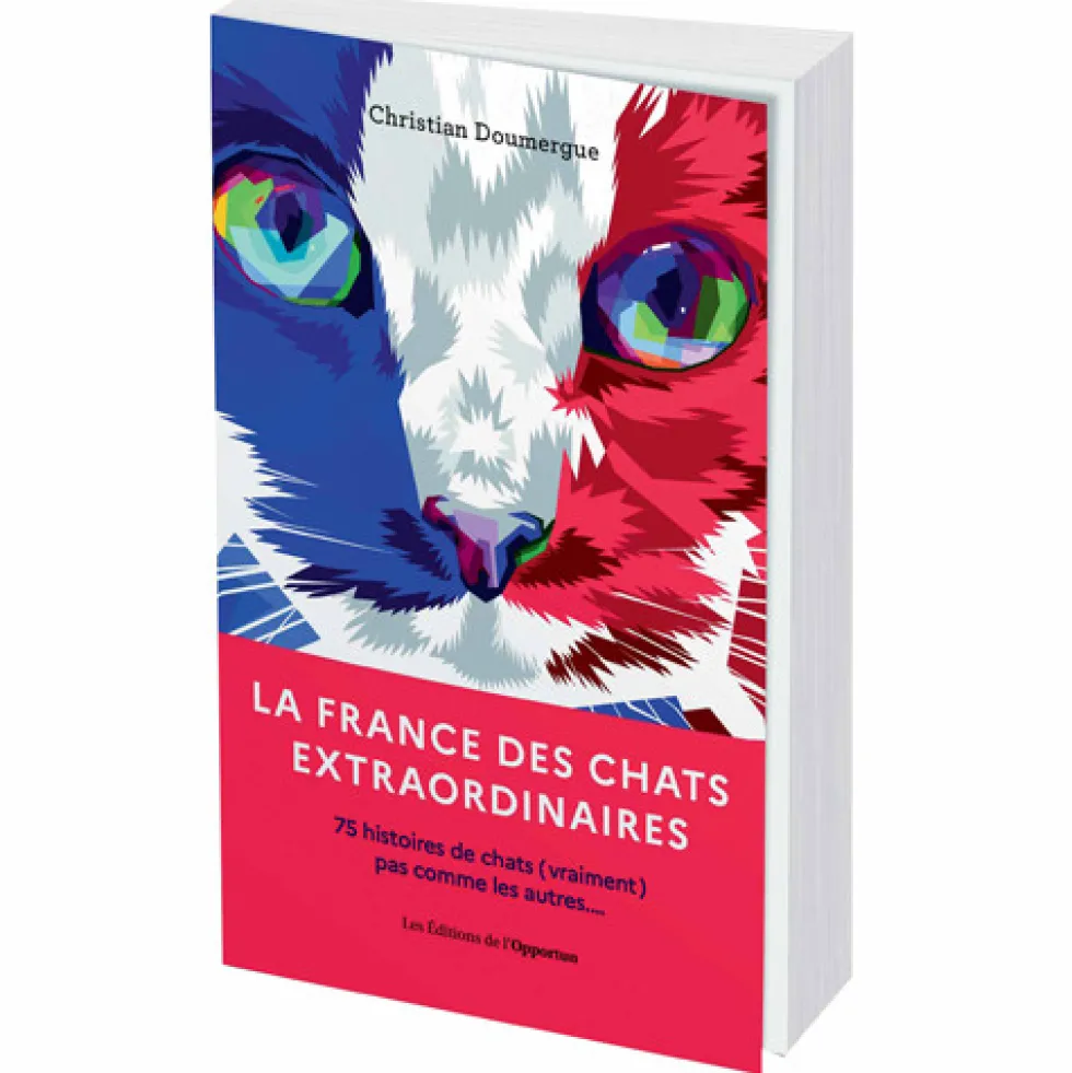 La France des chats extraordinaires