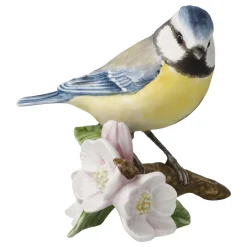 La mésange bleue