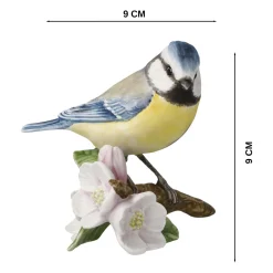 La mésange bleue