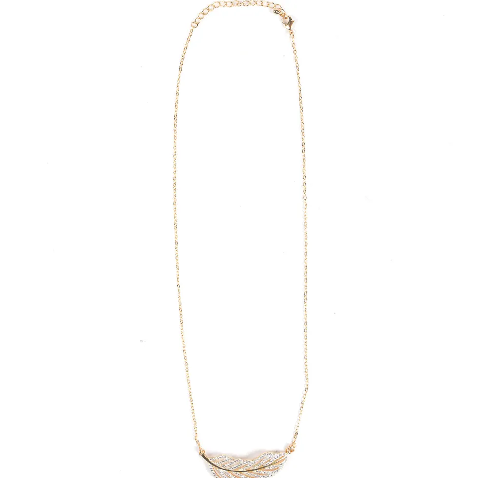 Le collier plume