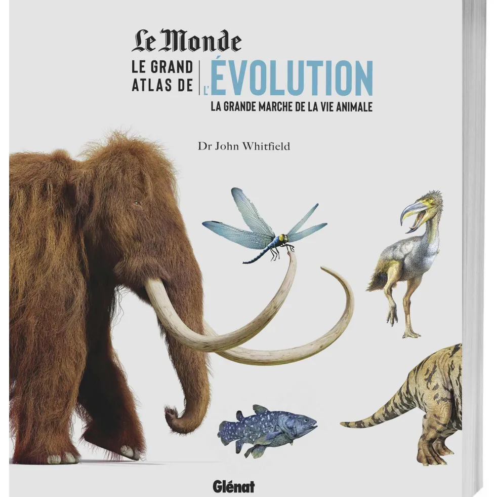 Le grand atlas de l'évolution: La grande marche de la vie animale