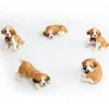 Le lot de cinq Saint-Bernard