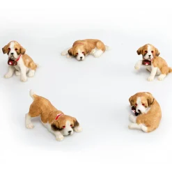 Le lot de cinq Saint-Bernard