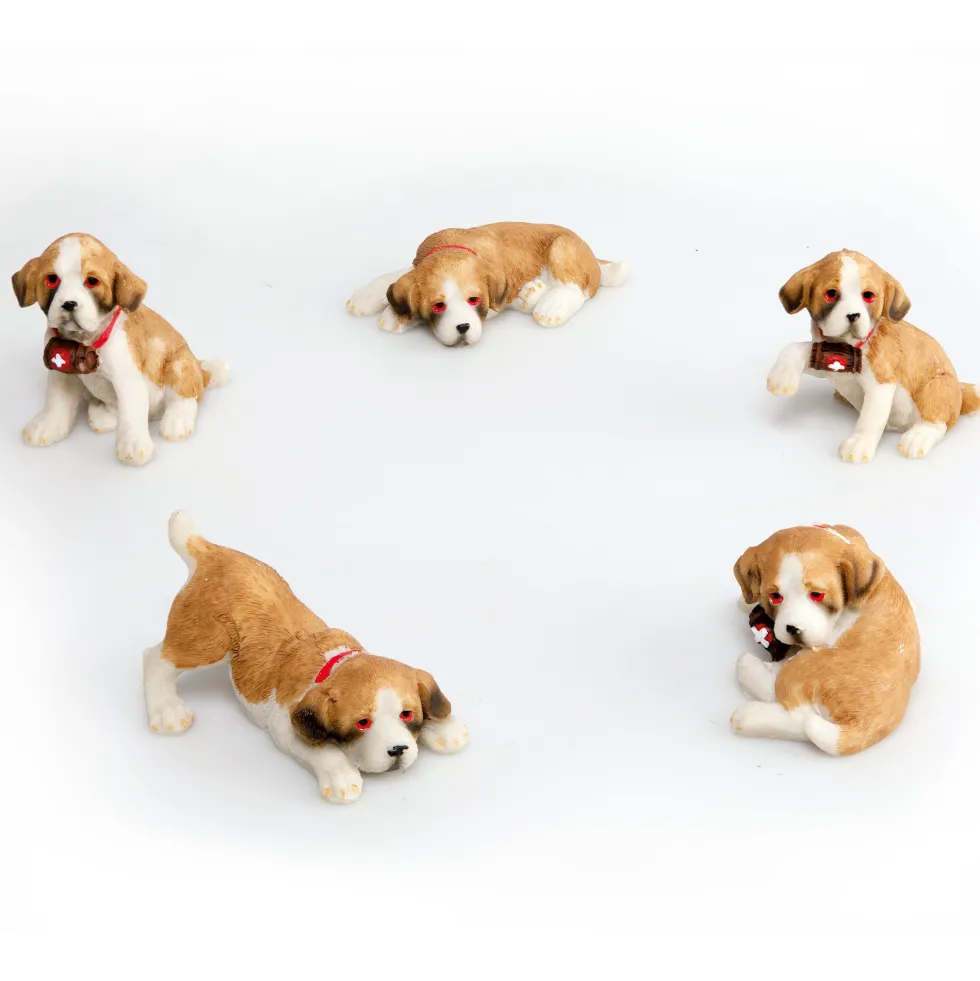 Le lot de cinq Saint-Bernard