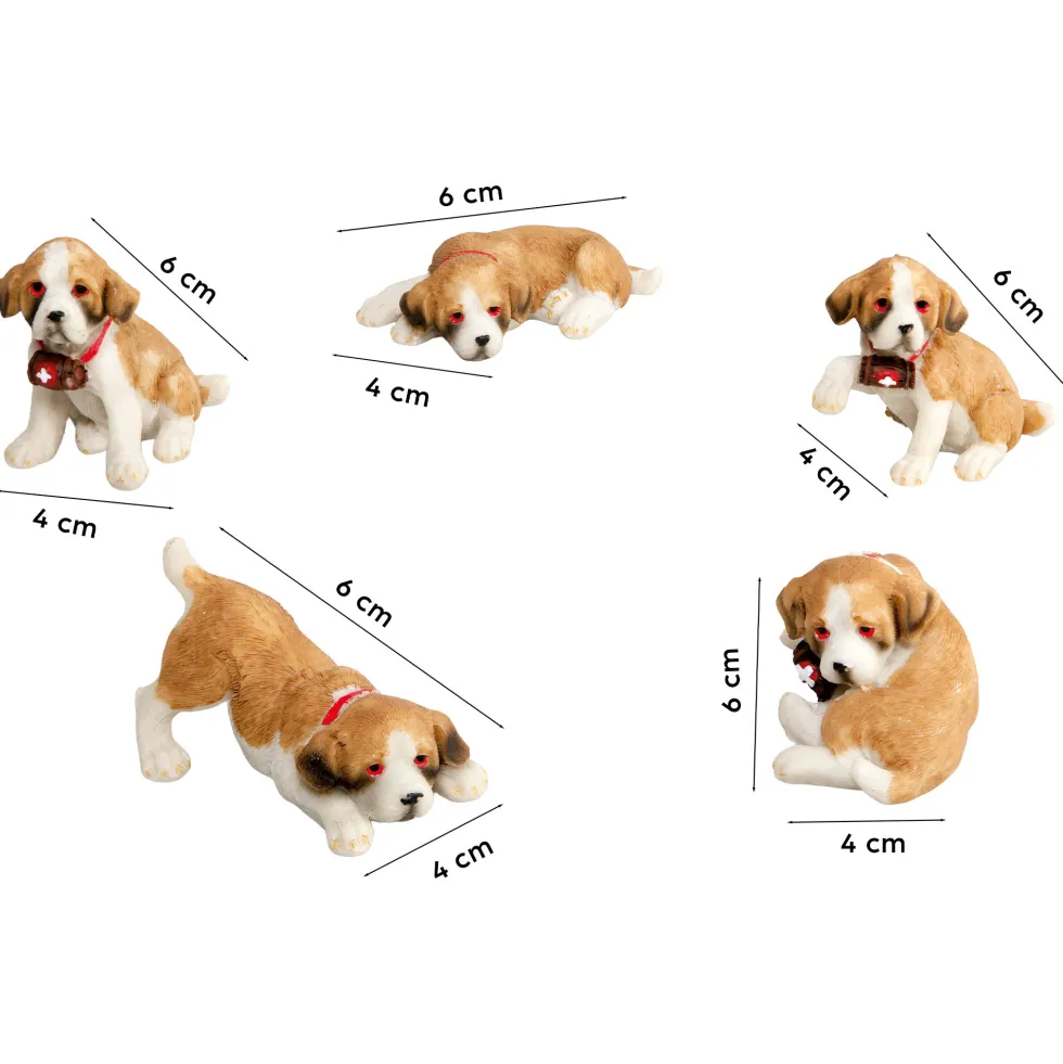 Le lot de cinq Saint-Bernard