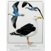 Les deux plaques oiseaux