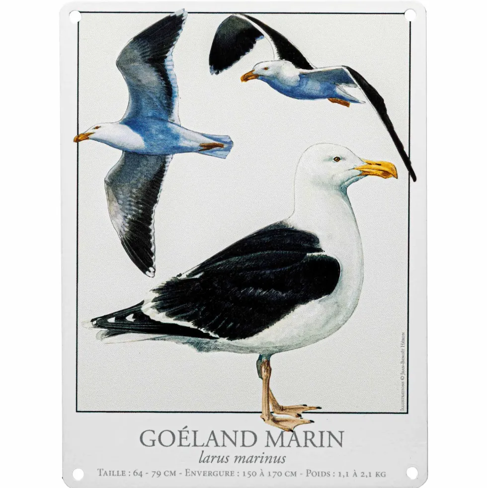 Les deux plaques oiseaux