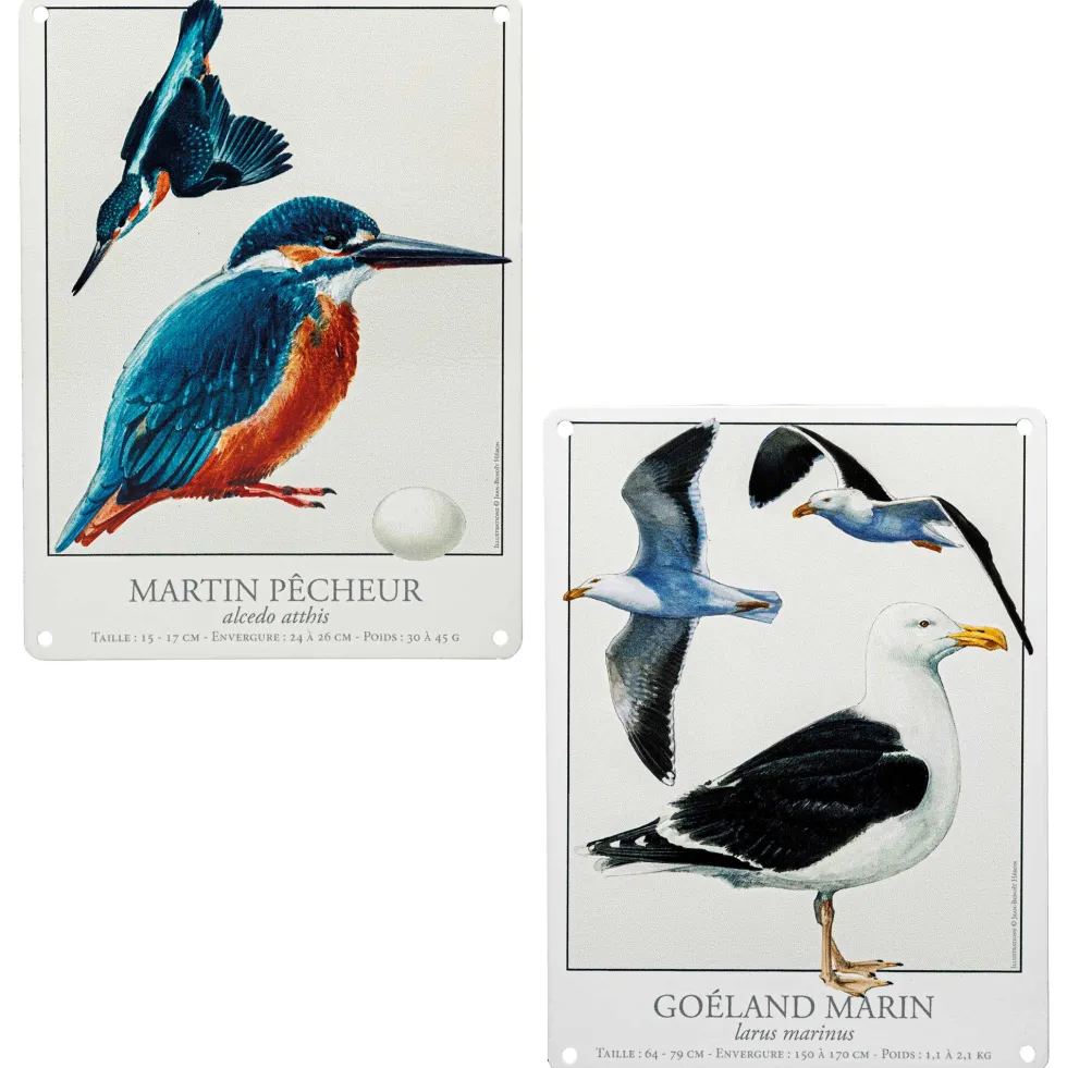 Les deux plaques oiseaux