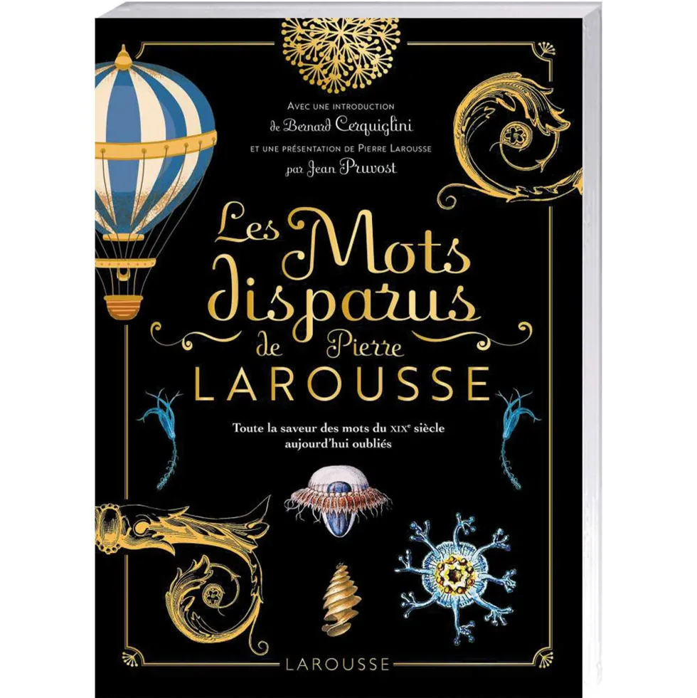 Les Mots disparus de Pierre Larousse