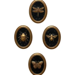 Les quatre cadres entomologiques
