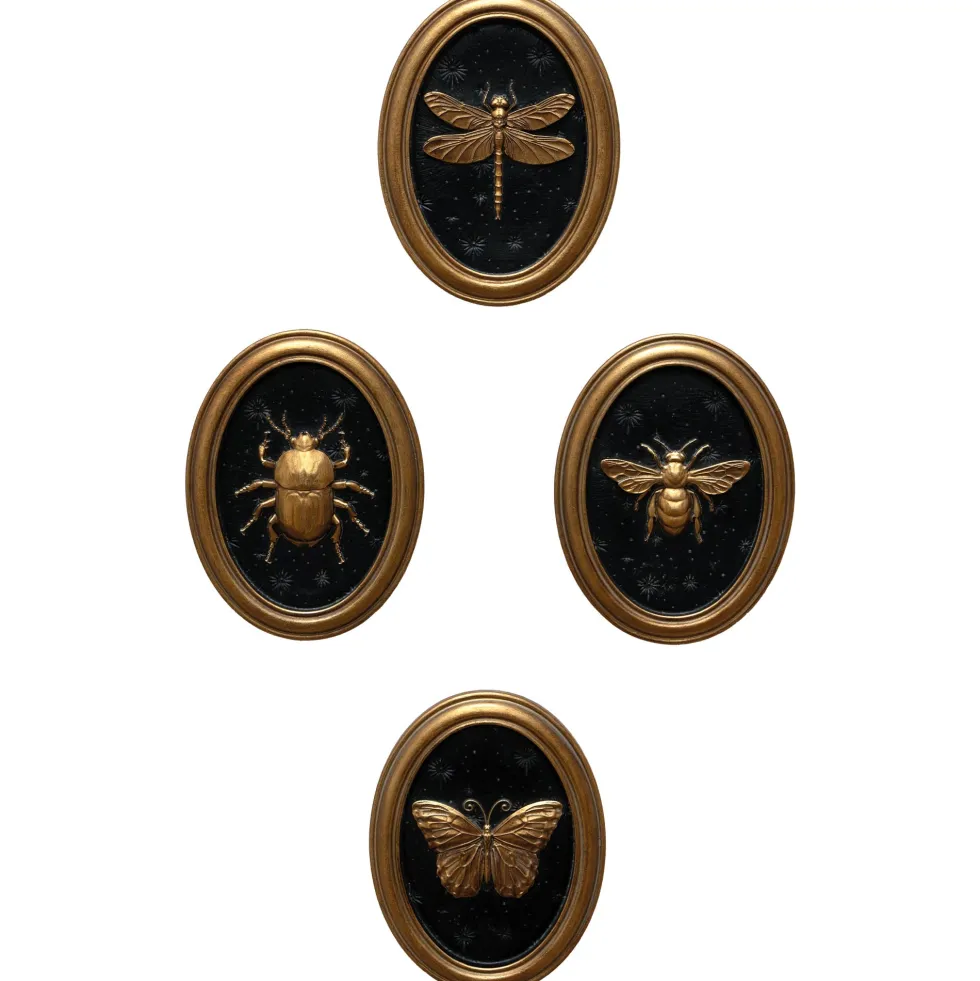 Les quatre cadres entomologiques