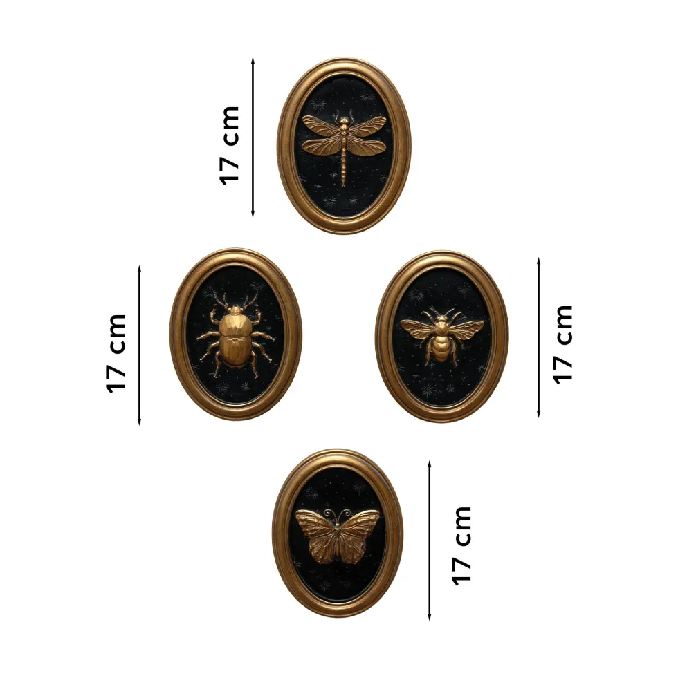 Les quatre cadres entomologiques