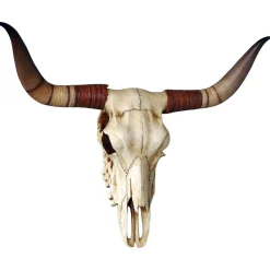 Le trophée crâne de taureau