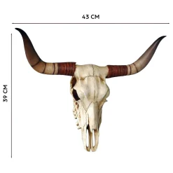 Le trophée crâne de taureau