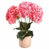 L’hortensia éternelle