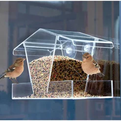 Mangeoire à oiseaux transparente