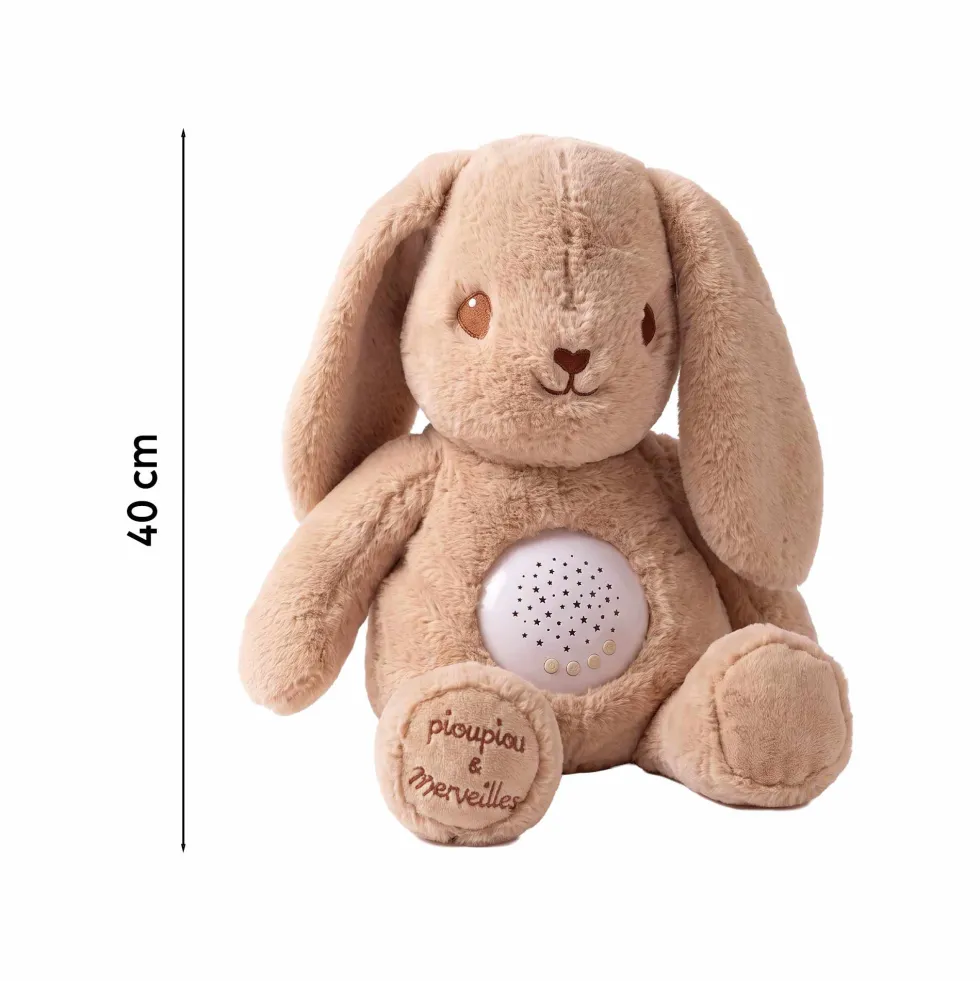 Marcel le lapin musical et lumineux