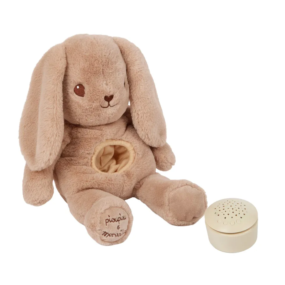 Marcel le lapin musical et lumineux
