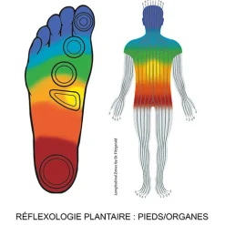 Mocassins confort 5 zones