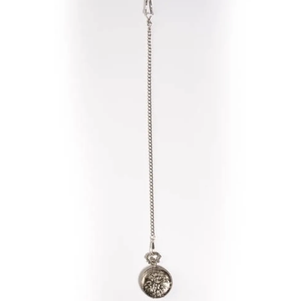 Montre gousset chasse