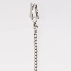 Montre gousset chasse