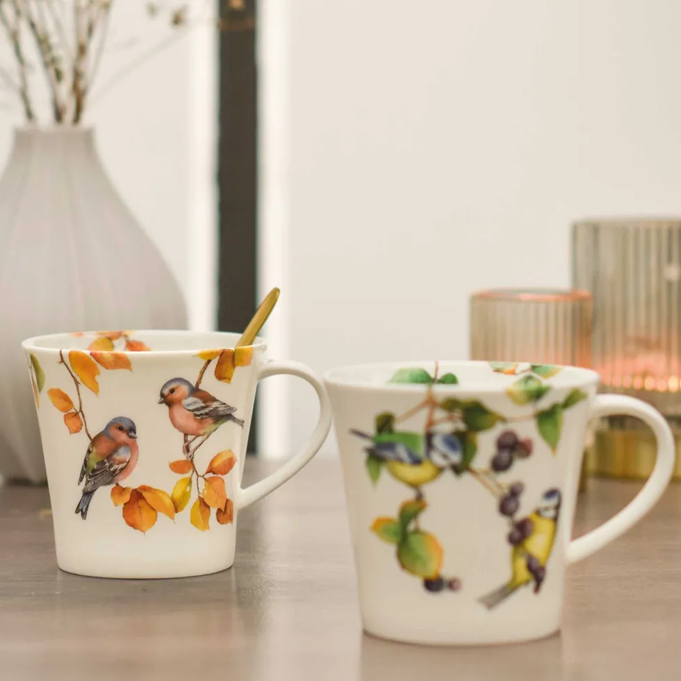 Mugs oiseaux - Les 4
