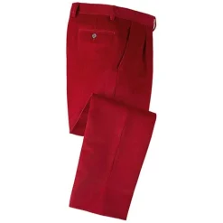 Pantalon velours confort à pinces