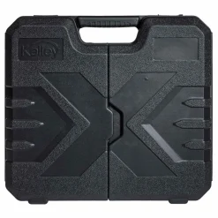 Perceuse-visseuse + 2 batteries