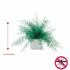 Plante repousse-insectes