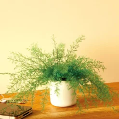Plante repousse-insectes