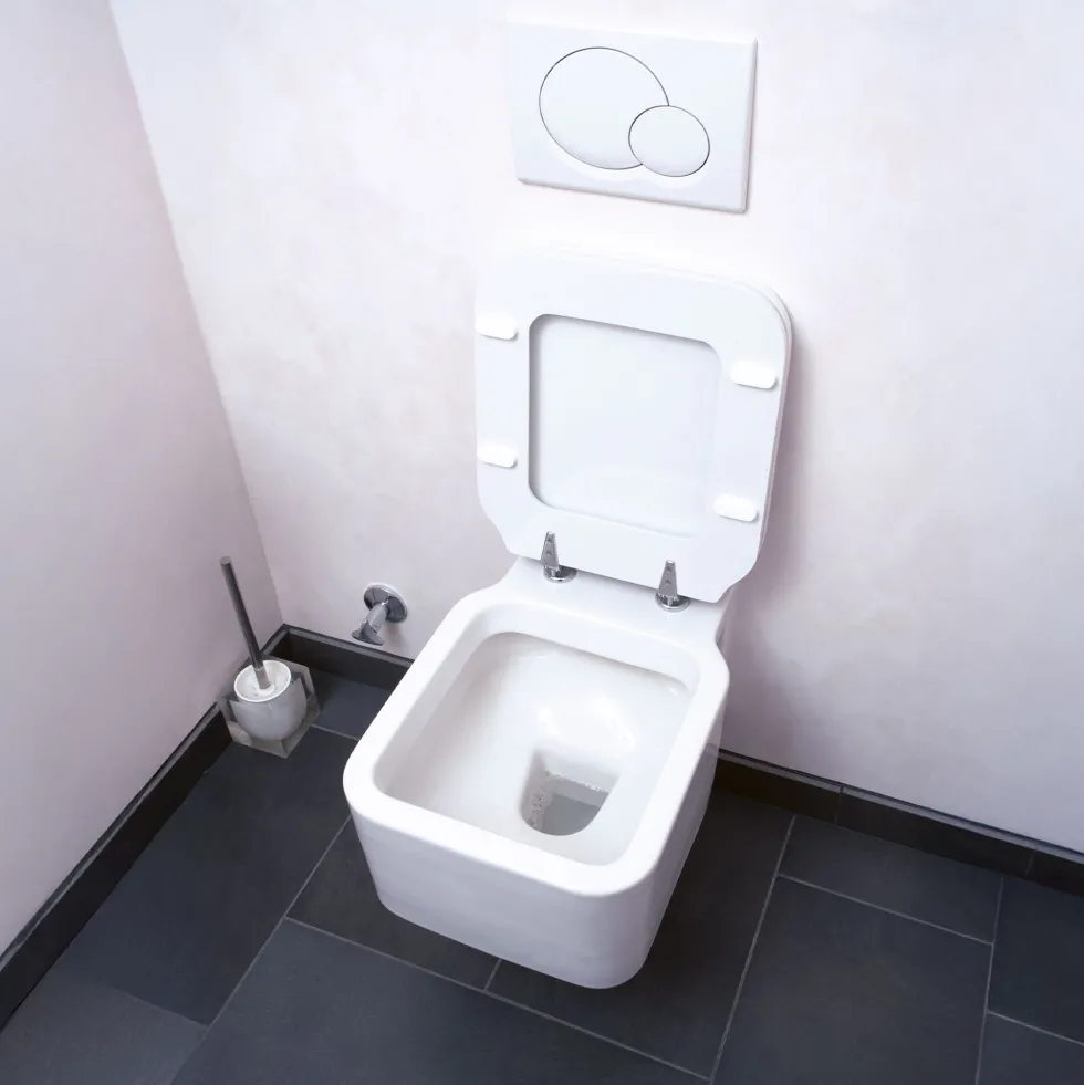 Poudre mousse WC super active
