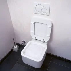 Poudre mousse WC super active