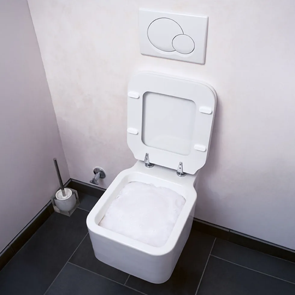 Poudre mousse WC super active