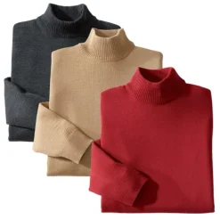 Pulls mérinos col cheminée - les 3