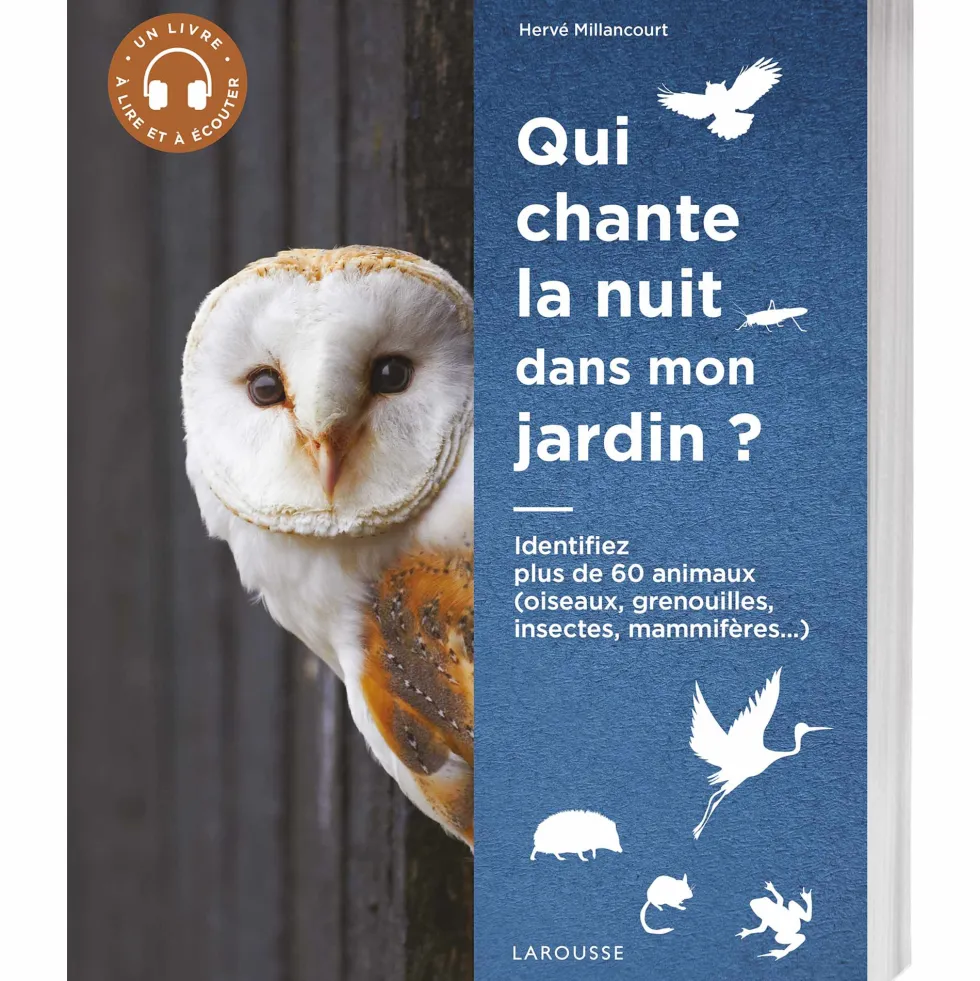 Qui chante la nuit dans mon jardin ?