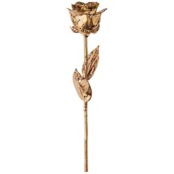Rose d’or